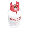pol_pm_GasBank-LS-DUO-11-kg-zestaw-do-zdalnego-tankowania-1-5m-DISH-41145_3.jpg